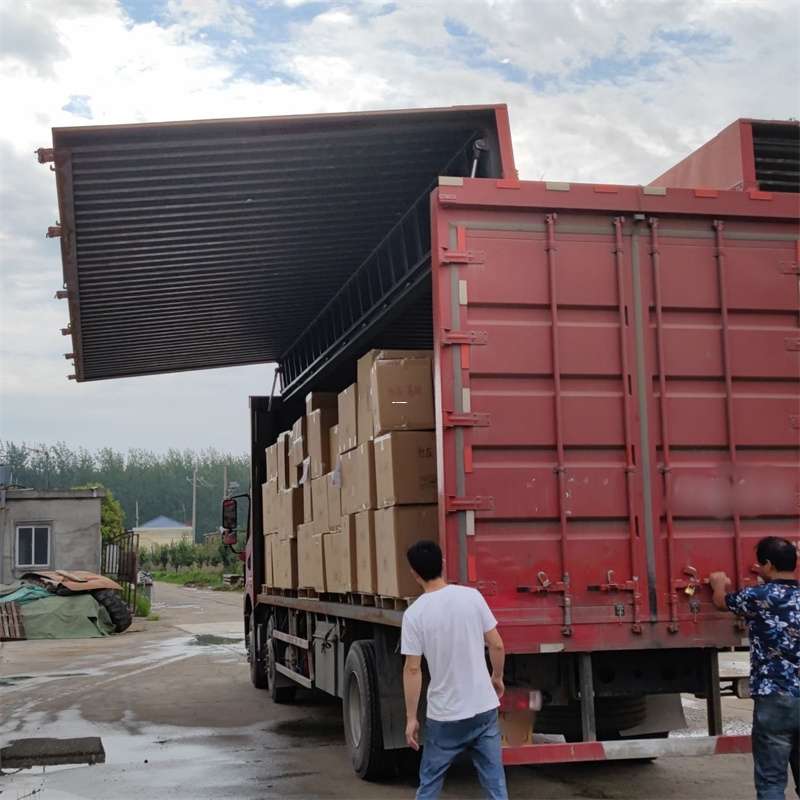 瀍河扎囊县：物流专线的高效货运之旅
